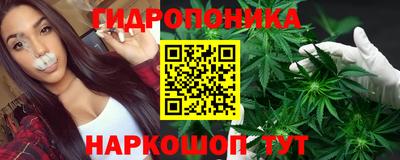 крисы Анапа