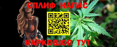 крисы Анапа