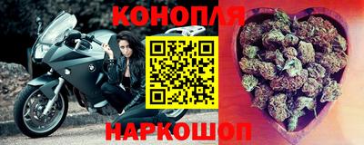 крисы Анапа