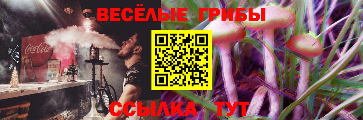 Калининград  Галлюциногенные грибы прущие грибы  Вход с VPN  Галлюциногенные грибы Cubensis 